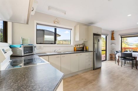 Photo of property in 17 Ngahere Terrace, Opoutere, Whangamata, 3691