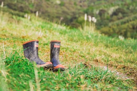 Photo of property in 88 Waere Valley Lane, Warkworth, 0981