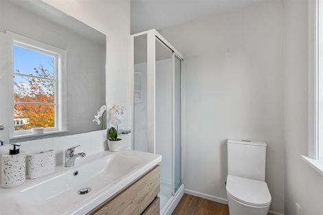 Photo of property in 223 Innes Road, St Albans, Christchurch, 8052