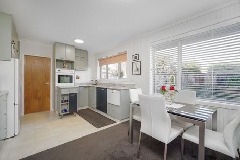 Photo of property in 17 Molesworth Place, Somerfield, Christchurch, 8024