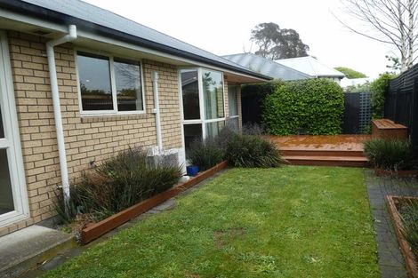 Photo of property in 403 Selwyn Street, Addington, Christchurch, 8024