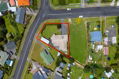 Photo of property in 36 Clothier Street, Putaruru, 3411