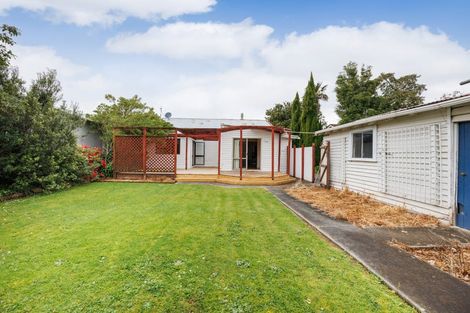 Photo of property in 29 Argyle Avenue, Takaro, Palmerston North, 4410
