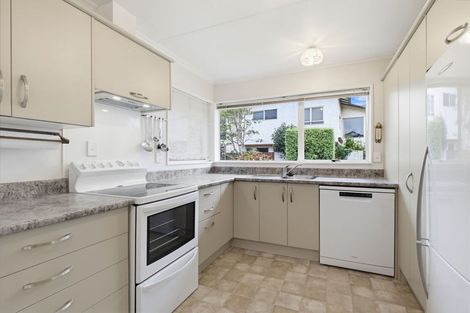 Photo of property in 45 Dittmer Drive, Awapuni, Palmerston North, 4412