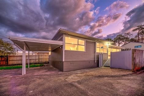 Photo of property in 145 Portage Road, New Lynn, Auckland, 0600
