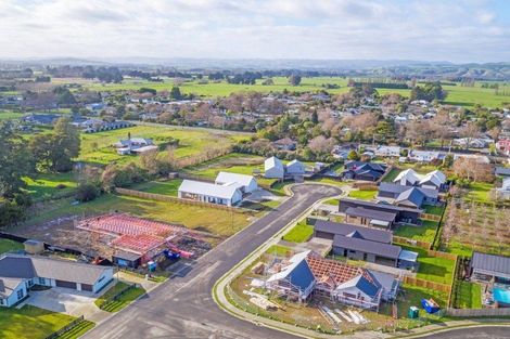 Photo of property in 3 Matai Grove, Greytown, 5712