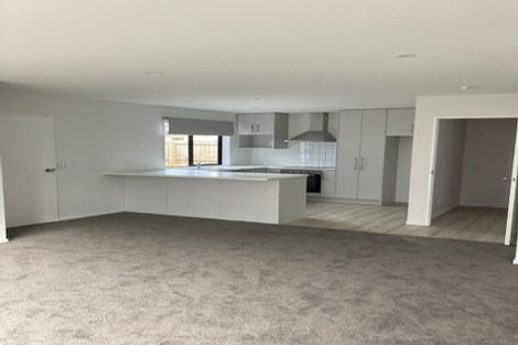 Photo of property in 446b Wilsons Road, Waltham, 8011