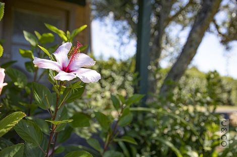 Photo of property in 93 Lloyd Road, Riverhead, Albany, 0793