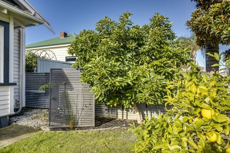 Photo of property in 19 Mcdonald Street, Napier South, Napier, 4110