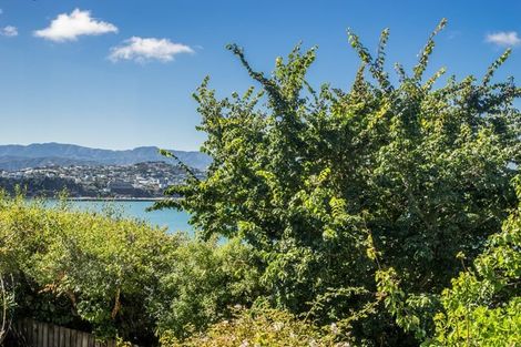Photo of property in 24f2 Akatea Street, Berhampore, Wellington, 6023