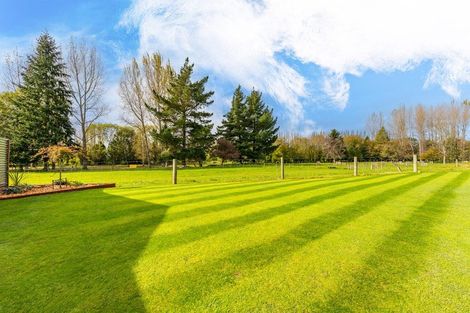Photo of property in 29 Strawberry Place, Geraldine, 7930