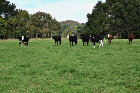 Photo of property in 2303 Lake Road, Frasertown, Wairoa, 4195