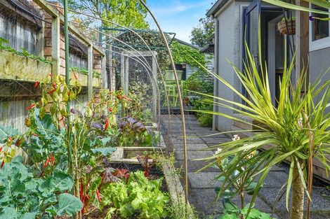 Photo of property in 24 Casey Avenue, Fairfield, Hamilton, 3214