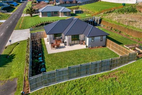 Photo of property in 32 Larlin Drive, Hawera, 4675