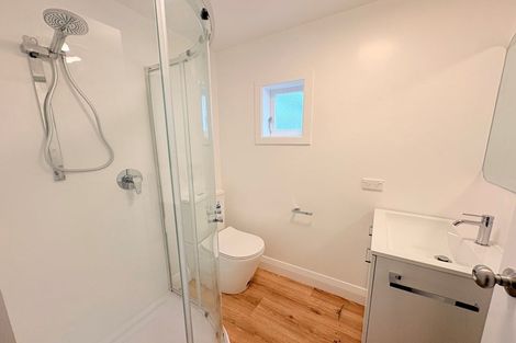 Photo of property in 3 Alameda Terrace, Aro Valley, Wellington, 6021