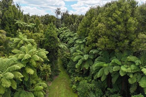Photo of property in 1669 Pyes Pa Road, Oropi, Tauranga, 3173