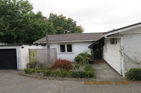 Photo of property in 19 Greenwood Road, Havelock North, 4130