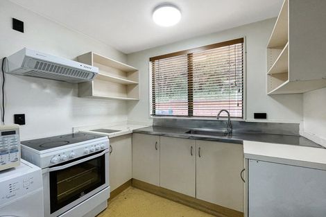 Photo of property in Te Awhina Apartments, 13/22u Sussex Street, Mount Cook, Wellington, 6021