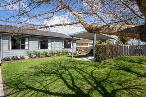 Photo of property in 6 Sargeson Place, Leamington, Cambridge, 3432