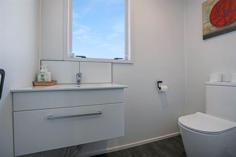 Photo of property in 20 Rapley Street, Hampstead, Ashburton, 7700