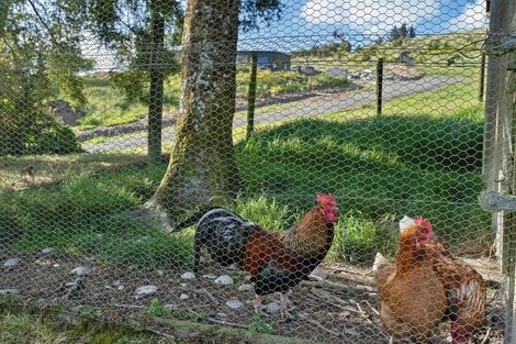 Photo of property in 120 Abbey Caves Road, Abbey Caves, Whangarei, 0175