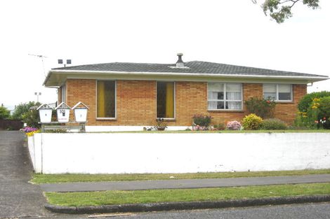 Photo of property in 1/101 Seddon Street, Pukekohe, 2120