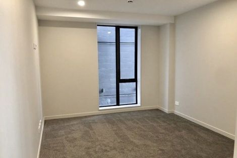 Photo of property in Vsp South, 105/168u Victoria Street, Te Aro, Wellington, 6011