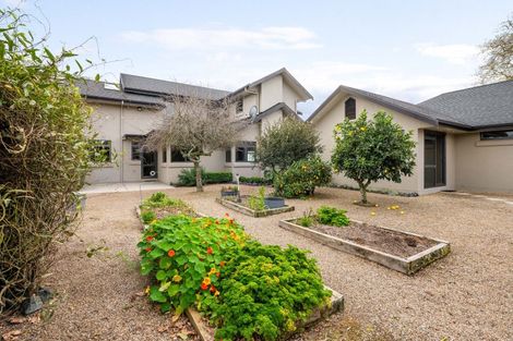 Photo of property in 384 Horsham Downs Road, Horsham Downs, Hamilton, 3281