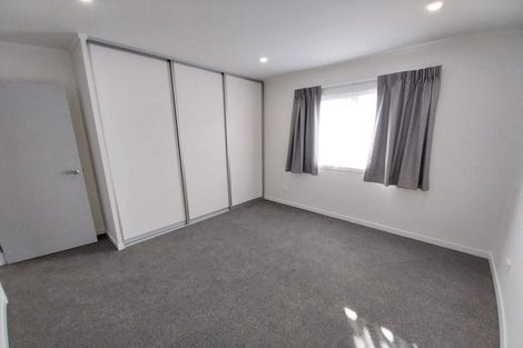Photo of property in 47 Frobisher Street, Island Bay, Wellington, 6023