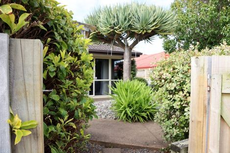 Photo of property in 14b Rosberg Place, Mount Maunganui, 3116