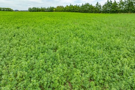 Photo of property in 375 Sharlands Road, Dunsandel, Rakaia, 7783