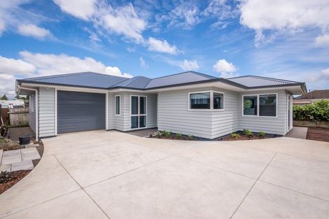 Photo of property in 93a Bartholomew Road, Levin, 5510