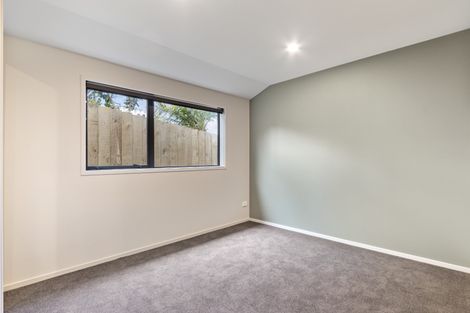 Photo of property in 45b Prospect Terrace, Pukekohe, 2120