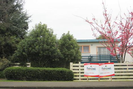 Photo of property in 16 The Avenue, Levin, 5510