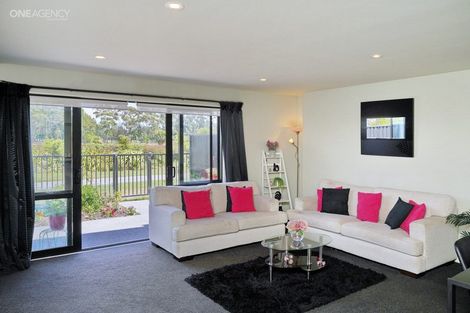 Photo of property in 17 Tuhoe Avenue, Kaiapoi, 7630