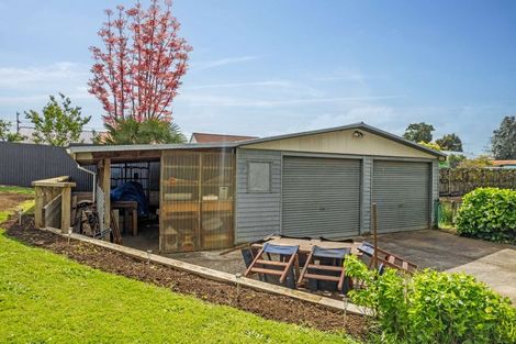 Photo of property in 152 Raeburne Street, Te Awamutu, 3800