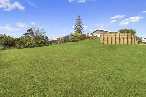Photo of property in 31 Station Street, Tirau, 3410