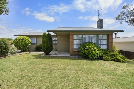 Photo of property in 19 Pelorus Street, Glenview, Hamilton, 3206