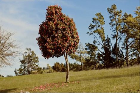 Photo of property in 460 Te Wharau, Admiral Hill, Gladstone, 5883