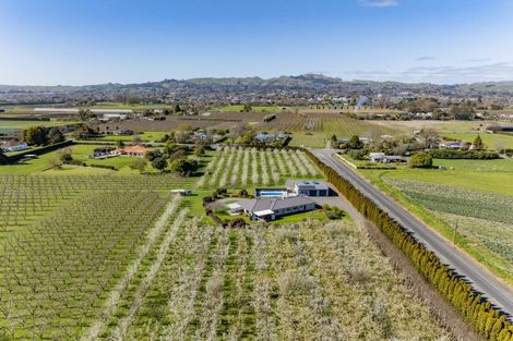 Photo of property in 1280 Howard Street, Parkvale, Hastings, 4122