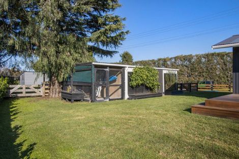 Photo of property in 5 Thomas Road, Tahawai, Katikati, 3178
