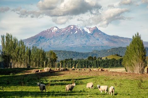 Photo of property in 329 Raetihi Ohakune Road, Raetihi, 4691