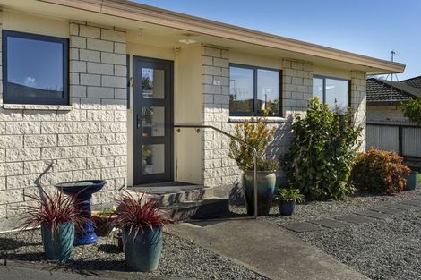 Photo of property in 26a Roeske Street, Richmond, 7020