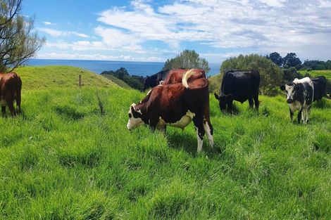 Photo of property in 693 State Highway 2 West, Pikowai, Whakatane, 3194