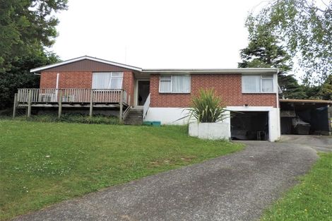 Photo of property in 118 Rosser Street, Huntly, 3700