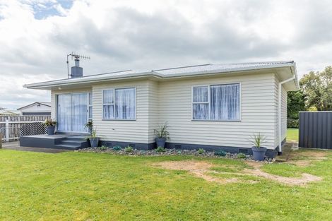 Photo of property in 3 Vogel Street, Levin, 5510