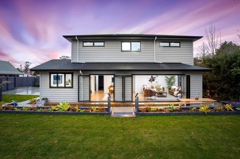 Photo of property in 67d Parker Avenue, New Lynn, Auckland, 0600