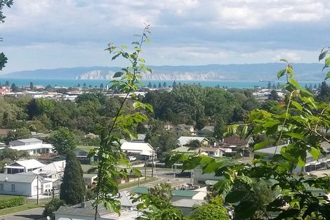 Photo of property in 363 Clifford Street, Mangapapa, Gisborne, 4010