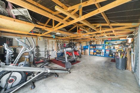 Photo of property in 49 Wapiti Avenue, Feilding, 4775