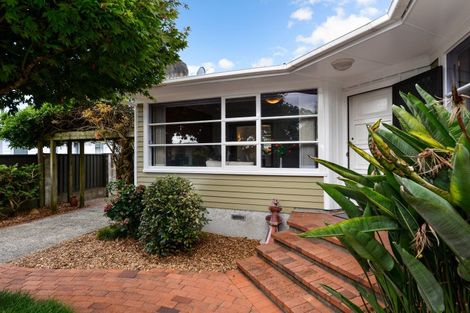 Photo of property in 12 Carlyle Avenue, Chartwell, Hamilton, 3210